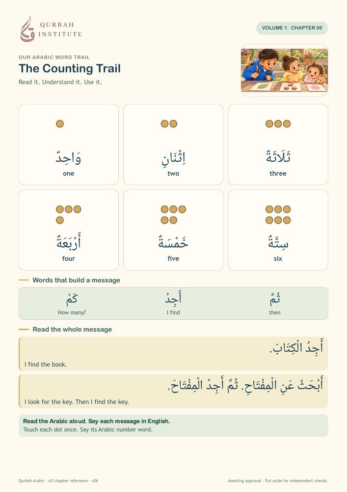 Sample A3 chapter poster